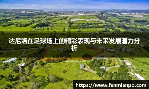 达尼洛在足球场上的精彩表现与未来发展潜力分析