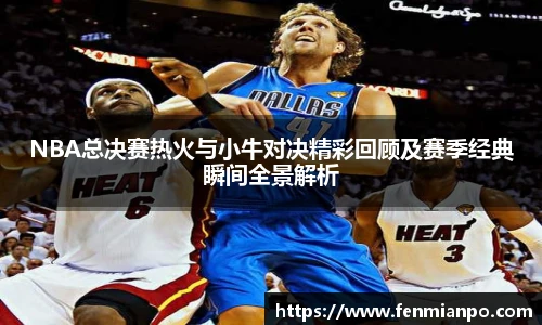 NBA总决赛热火与小牛对决精彩回顾及赛季经典瞬间全景解析